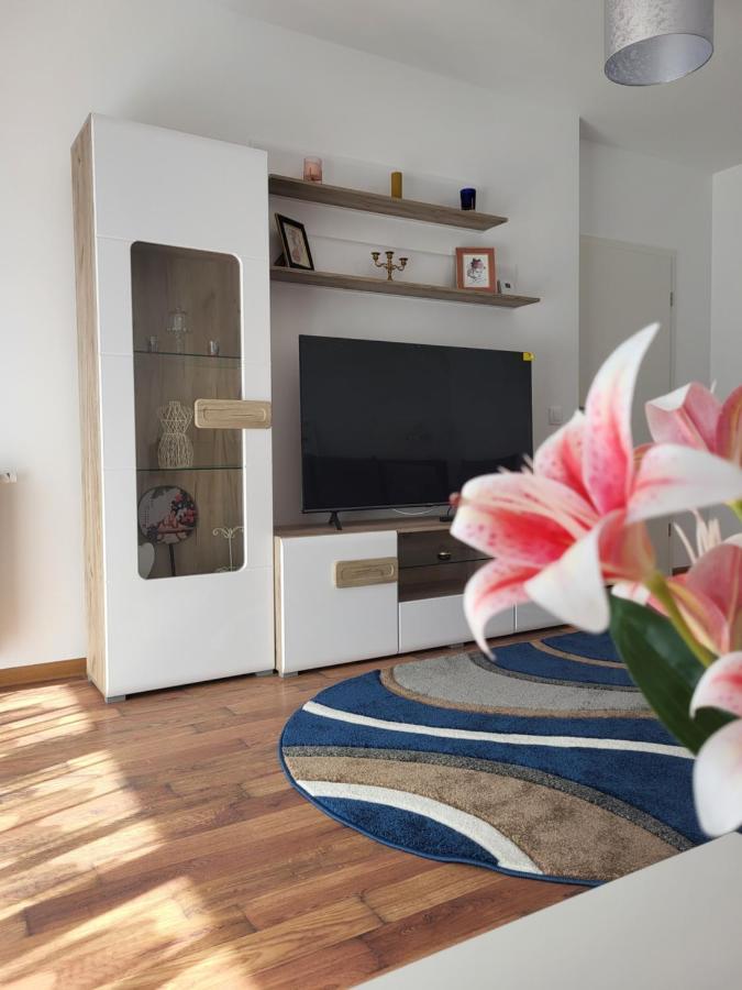Apartament C&L Брашов Экстерьер фото